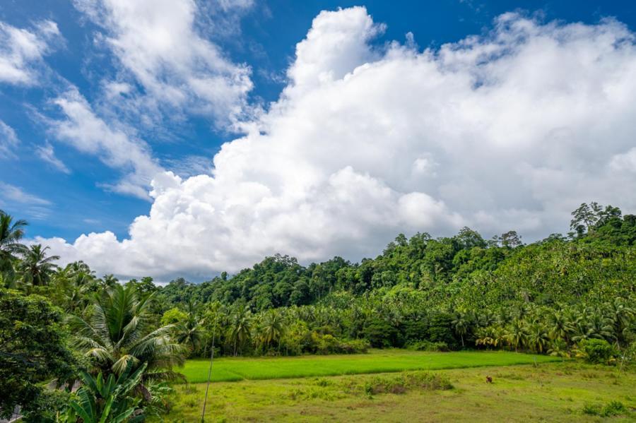 Anibesh Hotel Havelock Island Εξωτερικό φωτογραφία