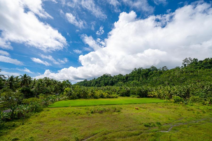 Anibesh Hotel Havelock Island Εξωτερικό φωτογραφία